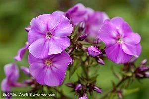 教师节2021祝福语唯美寄语(精选94句)