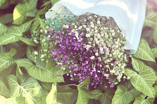 【精华】朋友圈励志语录正能量 有冲劲的正能量句子推荐94句