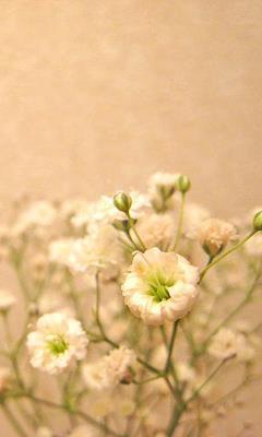 左右为难又委屈的句子