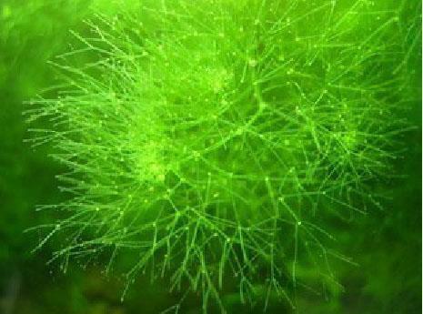 关于青春梦想的句子 拼搏努力正能量的句子