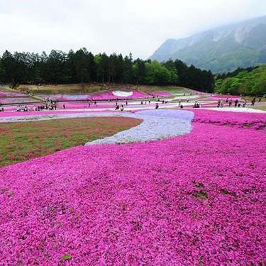 假期结束发朋友圈句子 中秋假期结束发朋友圈的文案