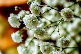 小仙女专属甜句 最肉麻情话短句很甜的小短句合集81句