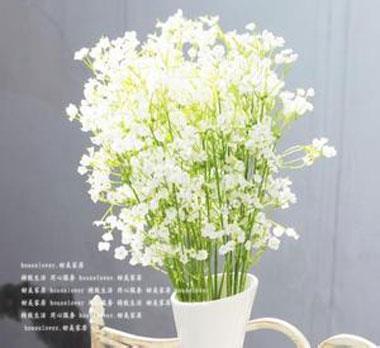 介绍女生外貌的句子32句