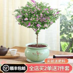 回家了发表个心情说说浓浓的亲情，是归家的路标