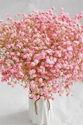 元旦简短独特的祝福语