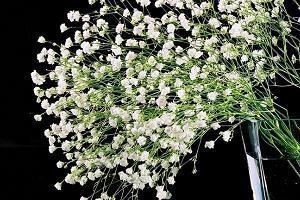 今日立春节气朋友圈唯美文案