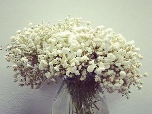 平淡的开心句子