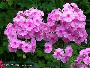 假装很开心的句子 假装开心的句子