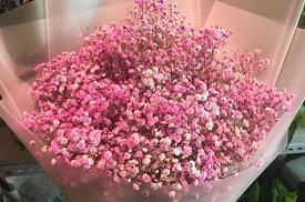 对公婆很失望的句子