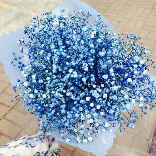 【精品】励志奋斗的经典句子推荐82句