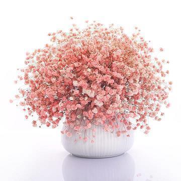 对友情失望寒心的句子