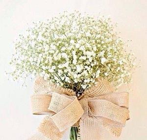 大秦帝国小说读后感2000字三篇