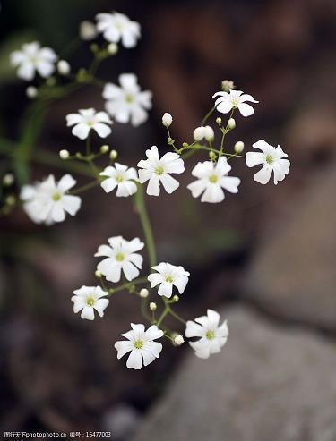 姐妹一起合影的短句子 抖音最火闺蜜句子(精选75句)