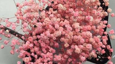 关于等待的唯美句子 我没有在等你，只是在等自己死心