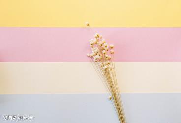 一句话打动人心的爱情句子