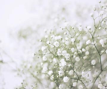 很甜很撩的早安句子 早安问候语温馨短语推荐79句