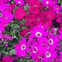 九月你好发朋友圈励志说说(精选21句)