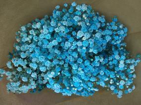 徐志摩经典语录大全