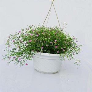 2022特别甜暖心的句子 2022年最走心的经典句子