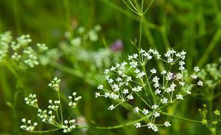 优美伤感的句子