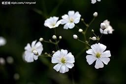 形容喝酒开心的句子