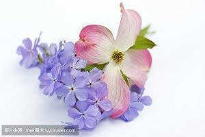 甜蜜坚定的爱情说说_爱你就想把你时时刻刻拥有合集43句