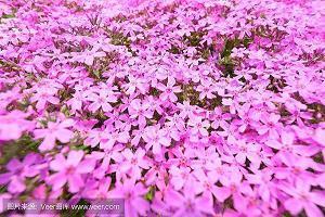 一个人挺好的励志说说