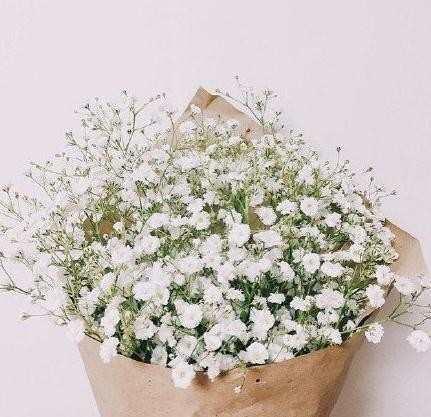 夸赞女孩子的句子