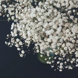 人在逆境迷茫中成长的句子