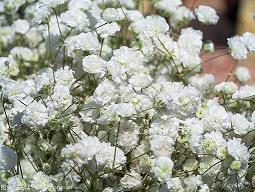 六一儿童节简短句子20字汇总70句