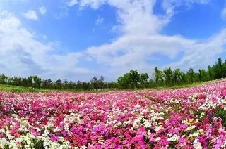 从来没有这么狼狈过的说说