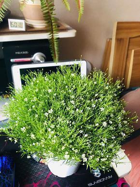 今日立春节气朋友圈文案