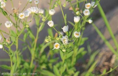对自己母亲失望的句子