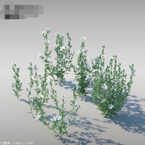 【精品】让人顿悟的佛家句子 佛教最高境界禅意句子汇编86句