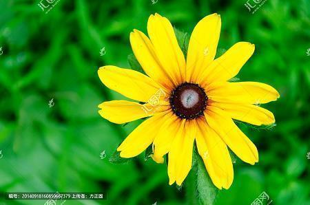 关于赞美雪的诗句 小学学过的与雪有关的诗句古诗