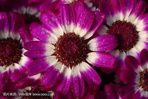 不想起床发朋友圈的搞笑说说 赖床睡懒觉的有趣说说