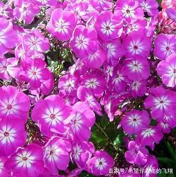 早安语录暖心话汇编35句