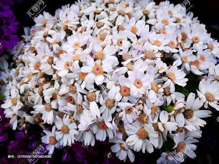 发表说说的心情句子