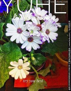 伤的心碎的句子