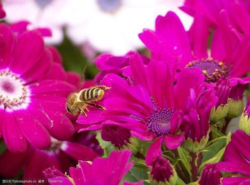 国庆节祝福语一句话 庆祝国庆的短句子(精选34句)