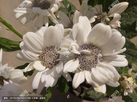 三伏天注意防暑降温的祝福语 关于防暑的朋友圈说说温馨提示语