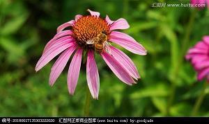姐妹句子唯美简短的 姐妹之间的唯美句子(精选59句)