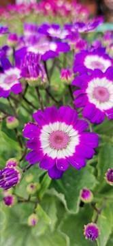 奋斗路上迷茫的句子74句