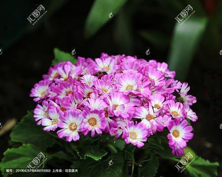 开心的在幼儿园句子 在幼儿园开心快乐的时光句子