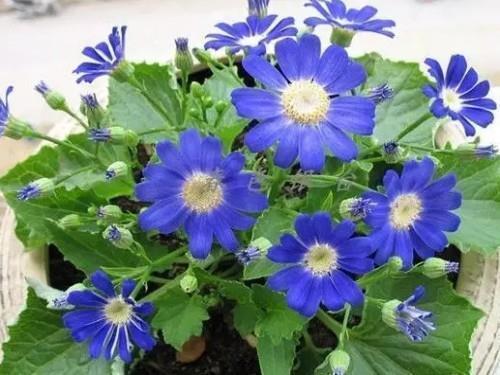 对人失望绝望的句子