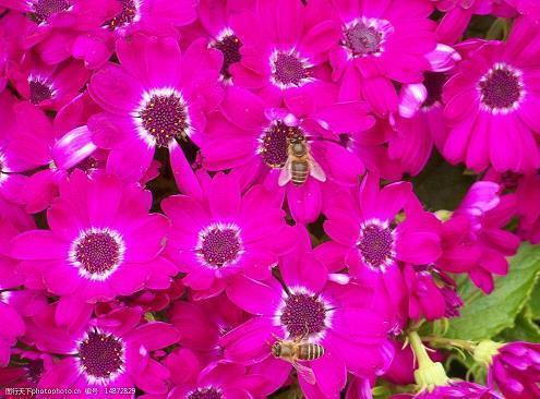 关于拼搏未来的句子(精选76句)