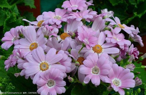 对婆婆很失望的句子