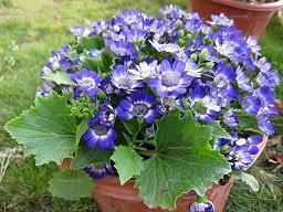 【推荐】2021年中秋节最经典的祝福语文案推荐95句