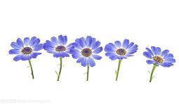 七夕朋友圈祝福文案2021年合集76句