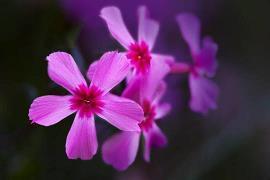 悲伤的句子说说心情 伤感的句子短句(精选85句)